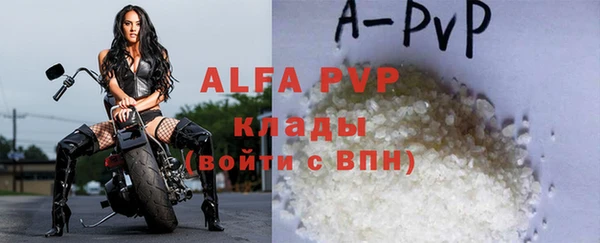 дживик Бородино