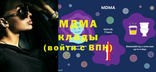 дживик Бородино