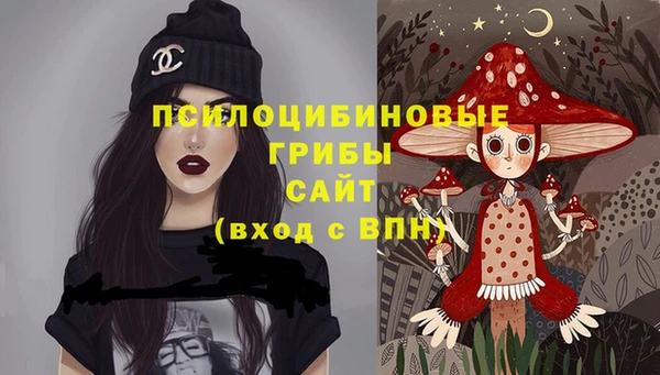 винт Бронницы